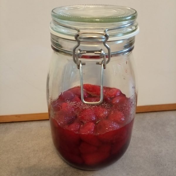 Qu'est ce que la fermentation alimentaire (préparation d'un Koso à la fraise)